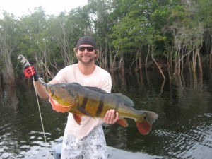 peacock-bass-brett Brett's 20 lb. Peacock Bassasouras on the fly in Brazil